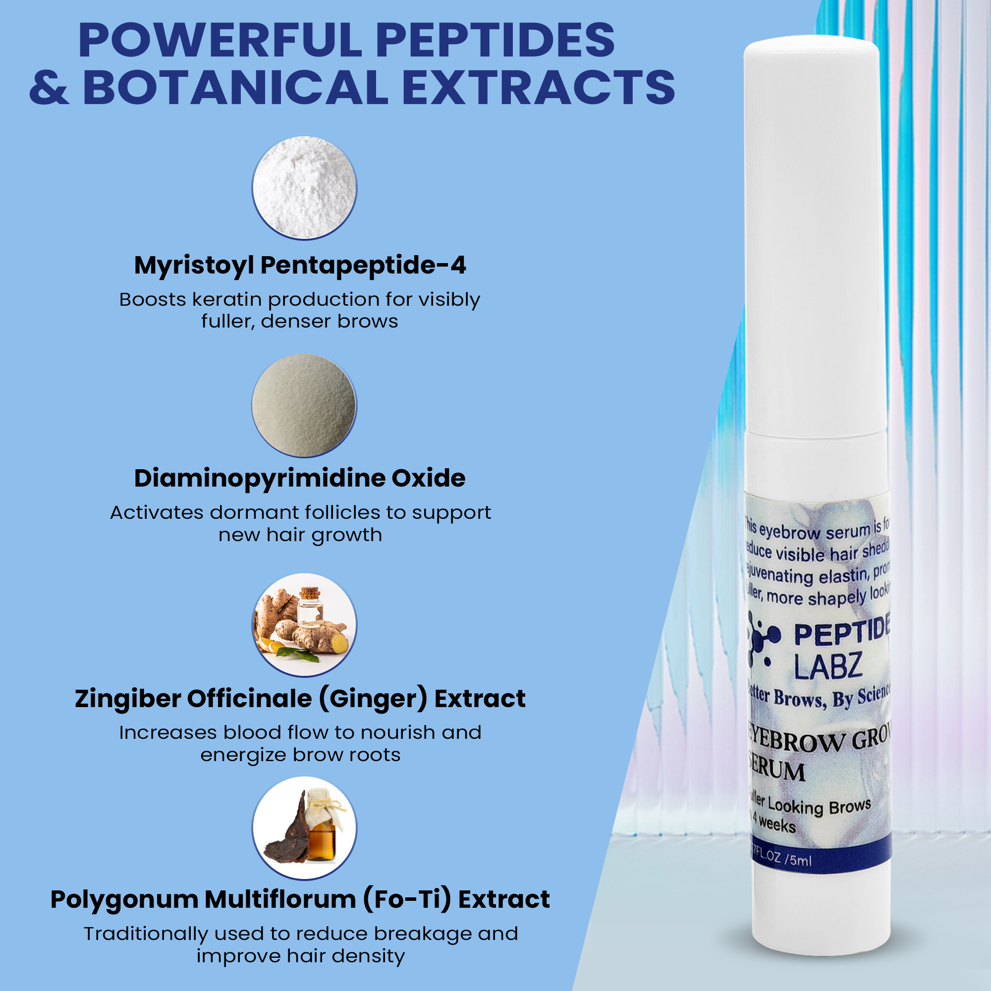 Eyebrow Growth Serum with Myristoyl Pentapeptide-4, Diaminopyrimidine Oxide & Ginger – Peptide Labz